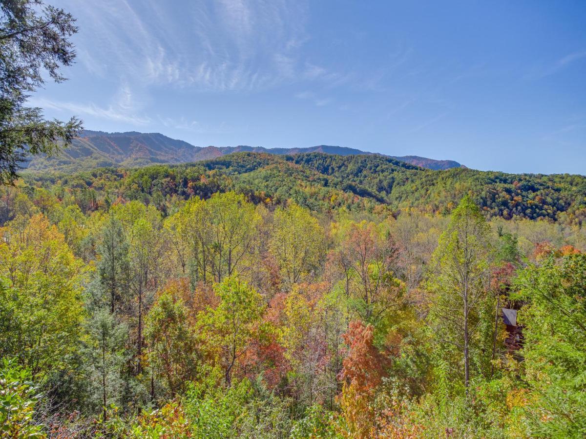 Naughty By Nature Gatlinburg Luaran gambar