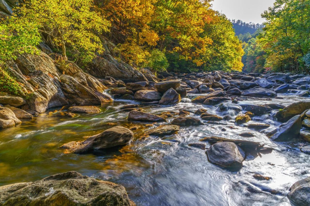 Naughty By Nature Gatlinburg Luaran gambar